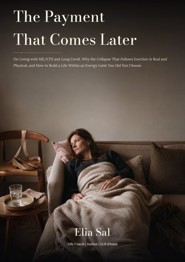 Cover of The Payment That Comes Later by Elia Sal