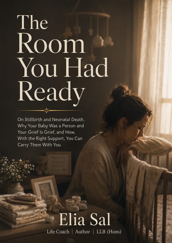 Cover of The Room You Had Ready by Elia Sal